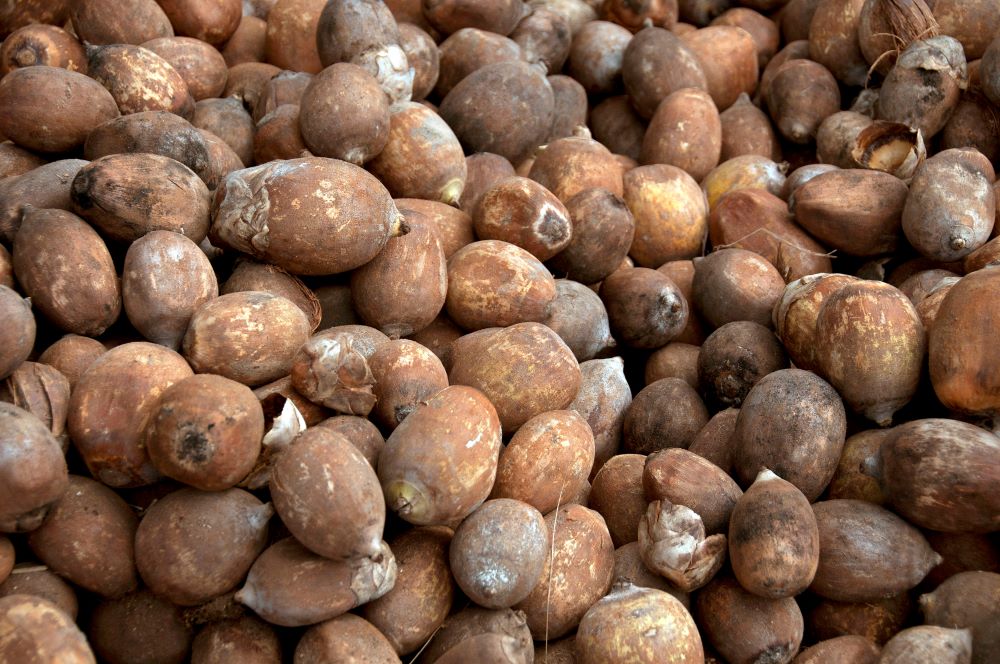 Babassu oil - what does it do?