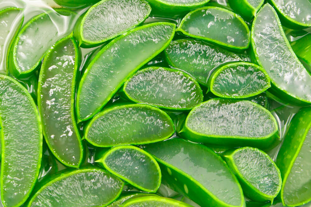 The different uses for aloe vera